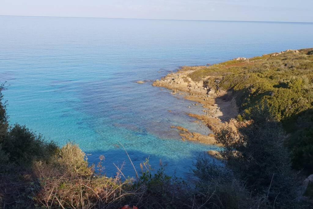 Monticello, Ile-Rousse - Residence Fiore Di Mare المظهر الخارجي الصورة